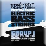 Ernie Ball P02802 Group I