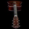 Godin Metropolis LTD Havana Burst HG EQ