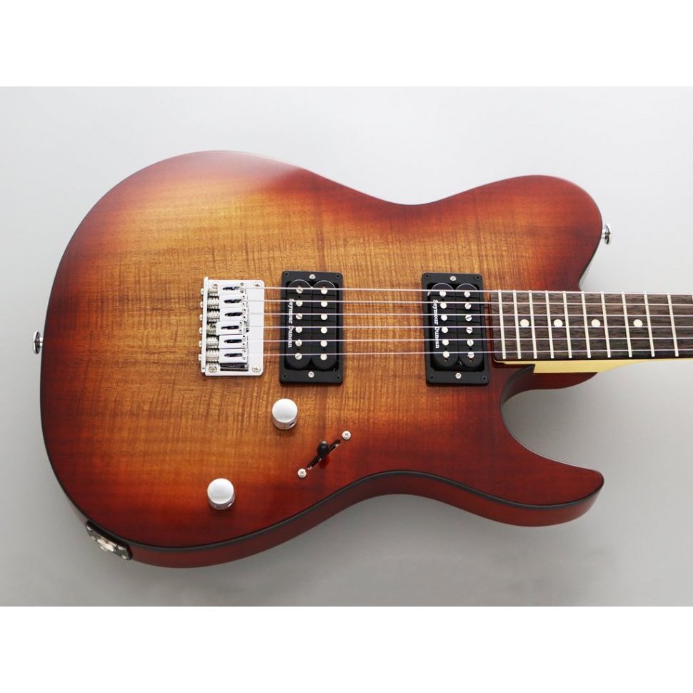 Fujigen JIL2EW2R Iliad J-Standard (Koa Natural Burst)