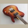 Fujigen JIL2EW2R Iliad J-Standard (Koa Natural Burst)