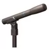 Audio-Technica AT8010