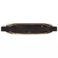 Hohner M560107 Progressive Special 20 A-major