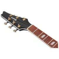 Ibanez IC420 ABM