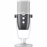 AKG-C22-USB ARA