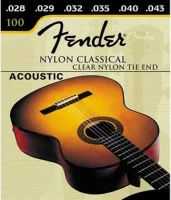 Fender 100