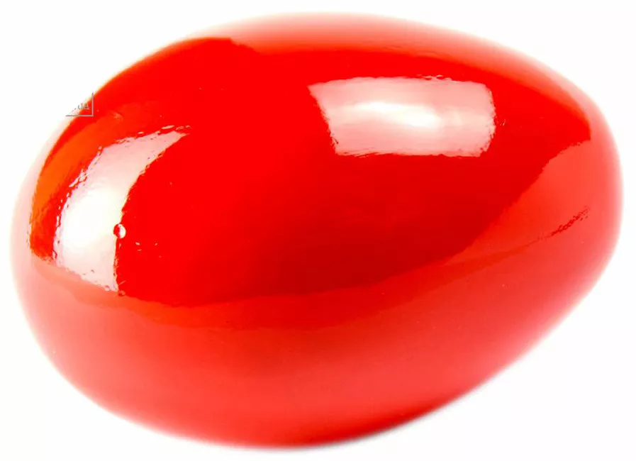 Palm Percussion EGG SHAKER RED