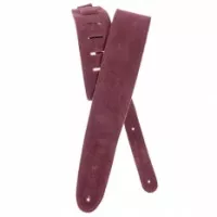Planet Waves PW25SS03DX