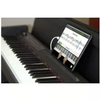Korg LP-380-RWBK U