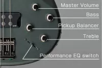 Yamaha TRBX304 MGR