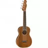 Fender UKULELE ZUMA CONCERT NATURAL WN