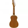 Fender UKULELE ZUMA CONCERT NATURAL WN