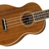 Fender UKULELE ZUMA CONCERT NATURAL WN
