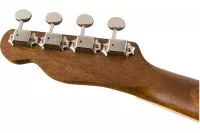 Fender UKULELE ZUMA CONCERT NATURAL WN