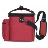 Nord Soft Case Piano Monitor