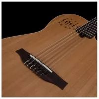 Godin Multiac Nylon Encore Natural SG
