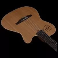 Godin Multiac Nylon Encore Natural SG