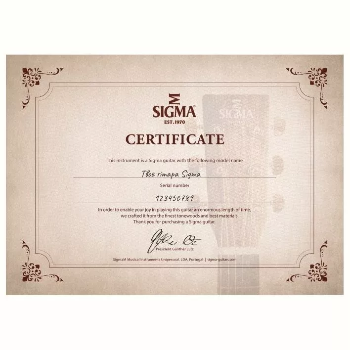 Sigma SGPC-10E (LR Baggs EAS-VTC)