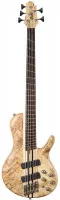 Cort A5 Plus SCMS OPN w/case