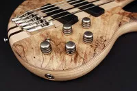 Cort A5 Plus SCMS OPN w/case