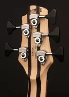 Cort A5 Plus SCMS OPN w/case
