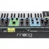Moog GRANDMOTHER
