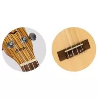 Flight DUC525 SP/ZEB Concert