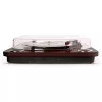 ION Max LP Dark Wood