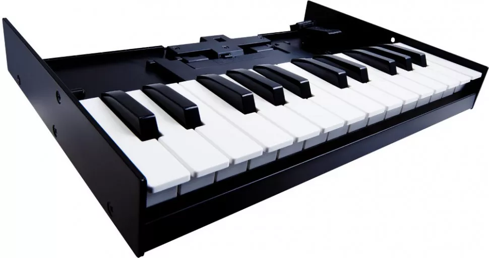 Roland K25m
