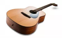 Yamaha F310
