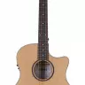 Schecter ORLEANS STUDIO AC NS Schecter ORLEANS STUDIO AC NS