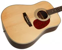 Cort Earth80 NS