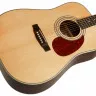 Cort Earth80 NS