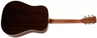 Cort Earth80 NS