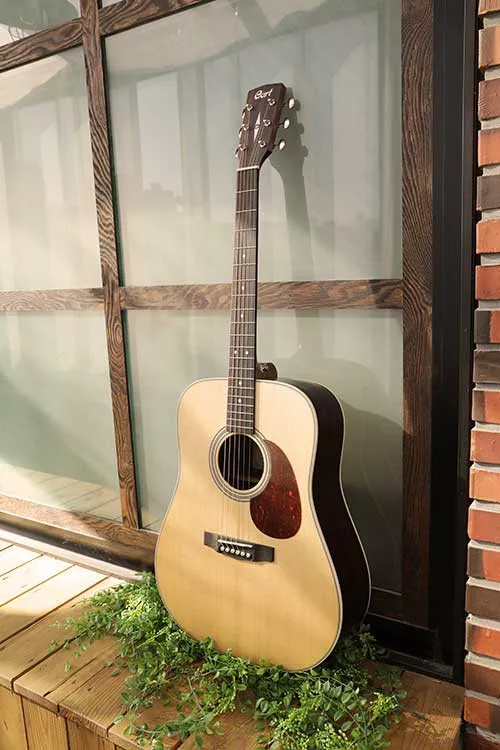 Cort Earth80 NS