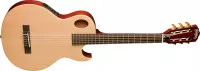 Washburn EACT42S