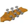 Schecter C-6 PLUS CB L/H