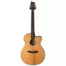 PRS SE A50E (Natural w/ Black Gold Burst)