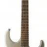 Washburn X10