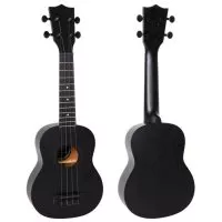 Flight NUS310 BLACKBIRD Soprano