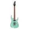 Ibanez RG421S SEM