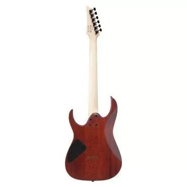 Ibanez RG421S SEM