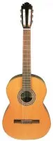 Manuel Rodriguez C 3 CEDRO