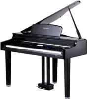 Kurzweil X-Pro MG EP