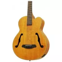 Aria FEB-F2M STBR