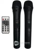 Soundking LS911