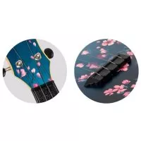 Flight TUS32 Sakura Travel soprano
