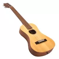 SX TG1