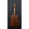 Ibanez AW54JR OPN