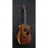Ibanez AW54JR OPN