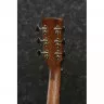 Ibanez AW54JR OPN